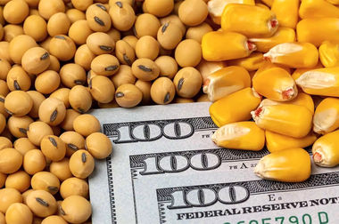 سامانه ارز مسافرتی مرکز مبادله ایران آغاز به کار کرد