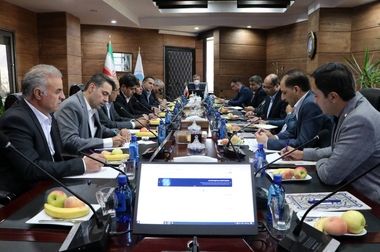 شبکه نمایندگی، شریک راهبردی بیمه ایران در مسیر توسعه