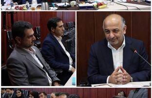 تحول دیجیتال در بیمه دی حوزه فعالیت نمایندگان را گسترش داده است 