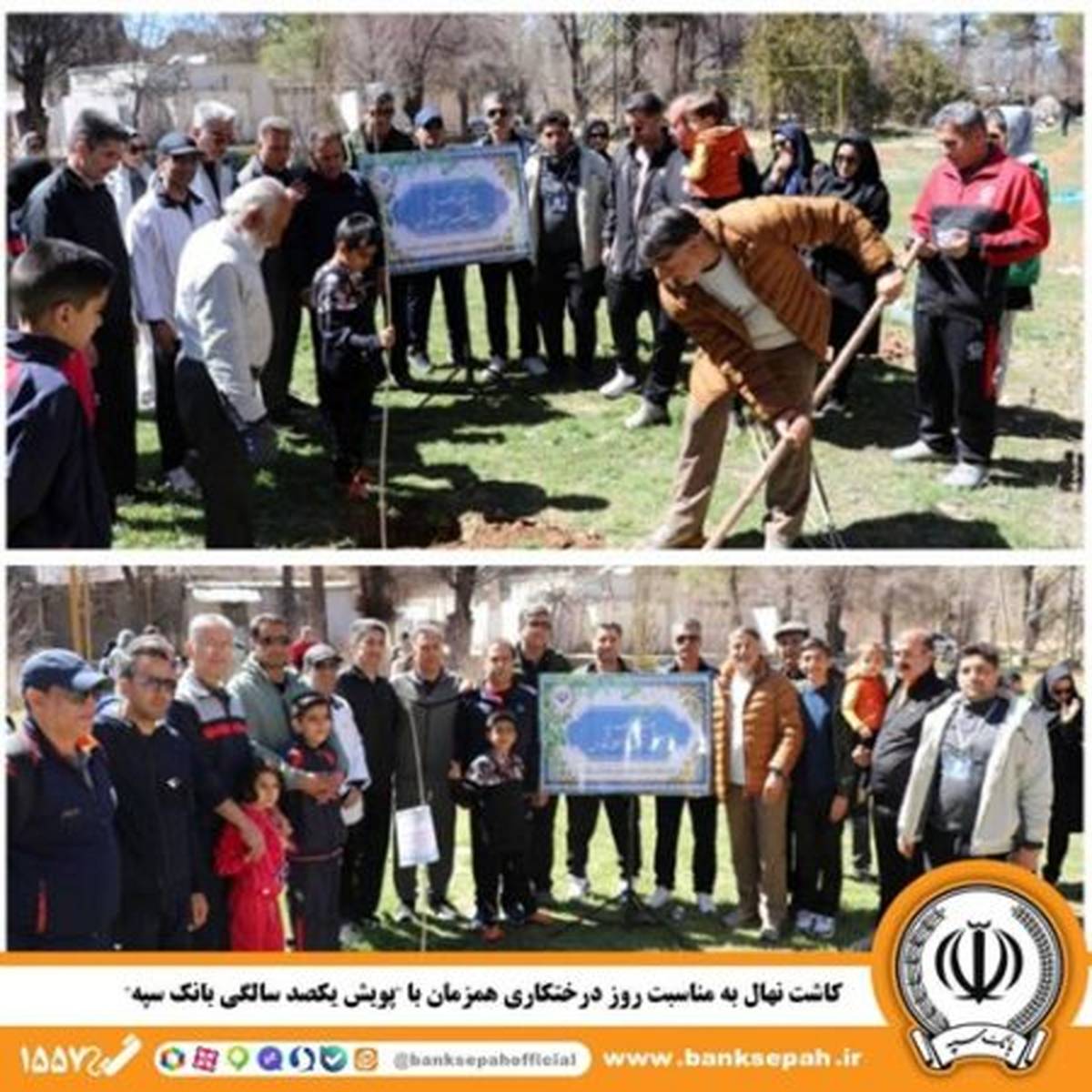 کاشت نهال به مناسبت روز درختکاری همزمان با «پویش یکصد سالگی بانک سپه»