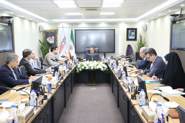 پایان ارزیابی بهره وری ۹ شرکت بخش معدن و صنایع معدنی