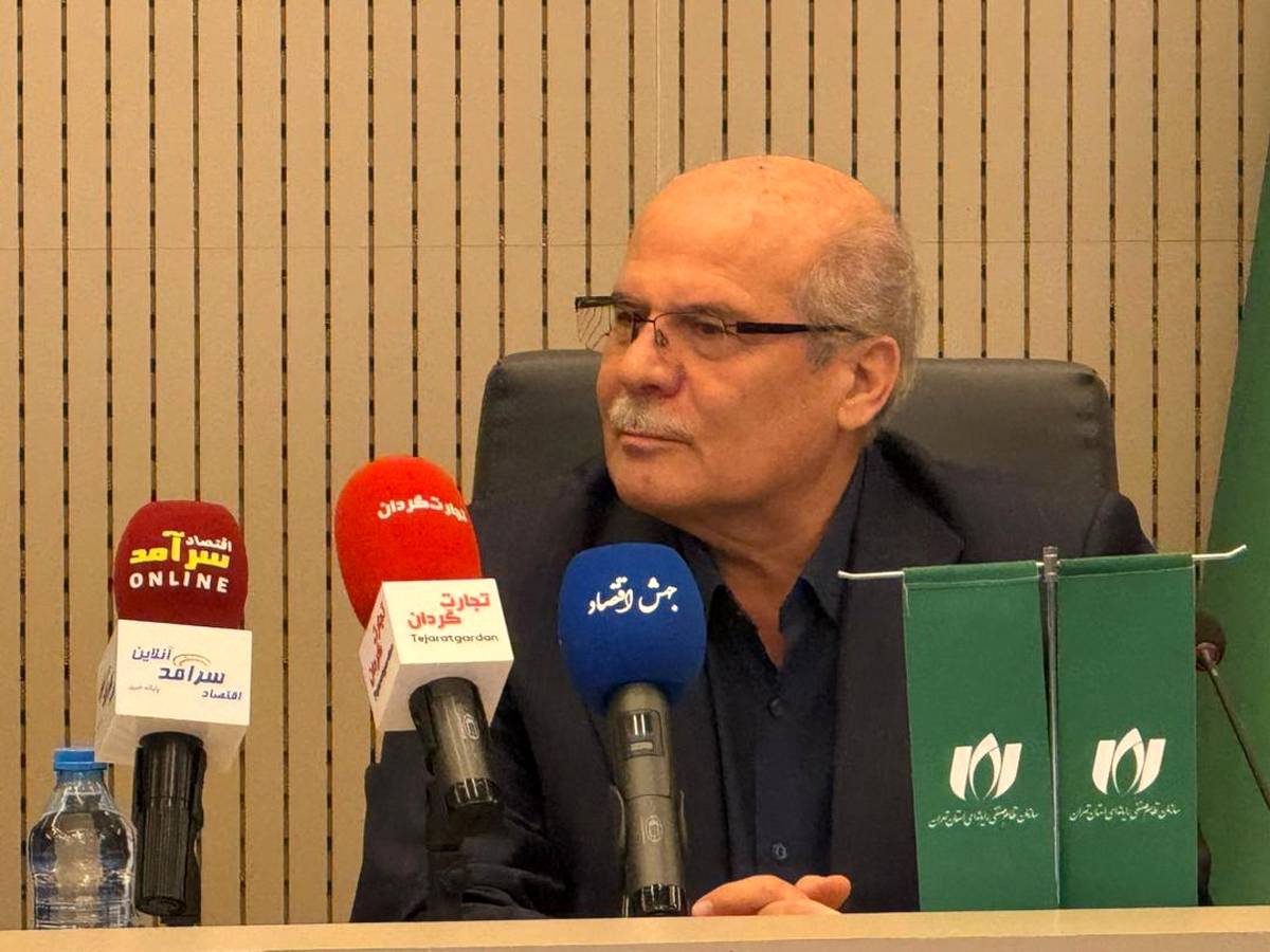 بدون اینترنت پایدار، اقتصاد دیجیتال به هدف ۱۵ درصدی نمی‌رسد