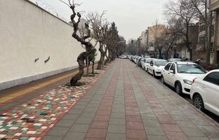 در منطقه۹ انجام شد؛ پیاده راه شمالی خیابان تفرش آماده بهره برداری