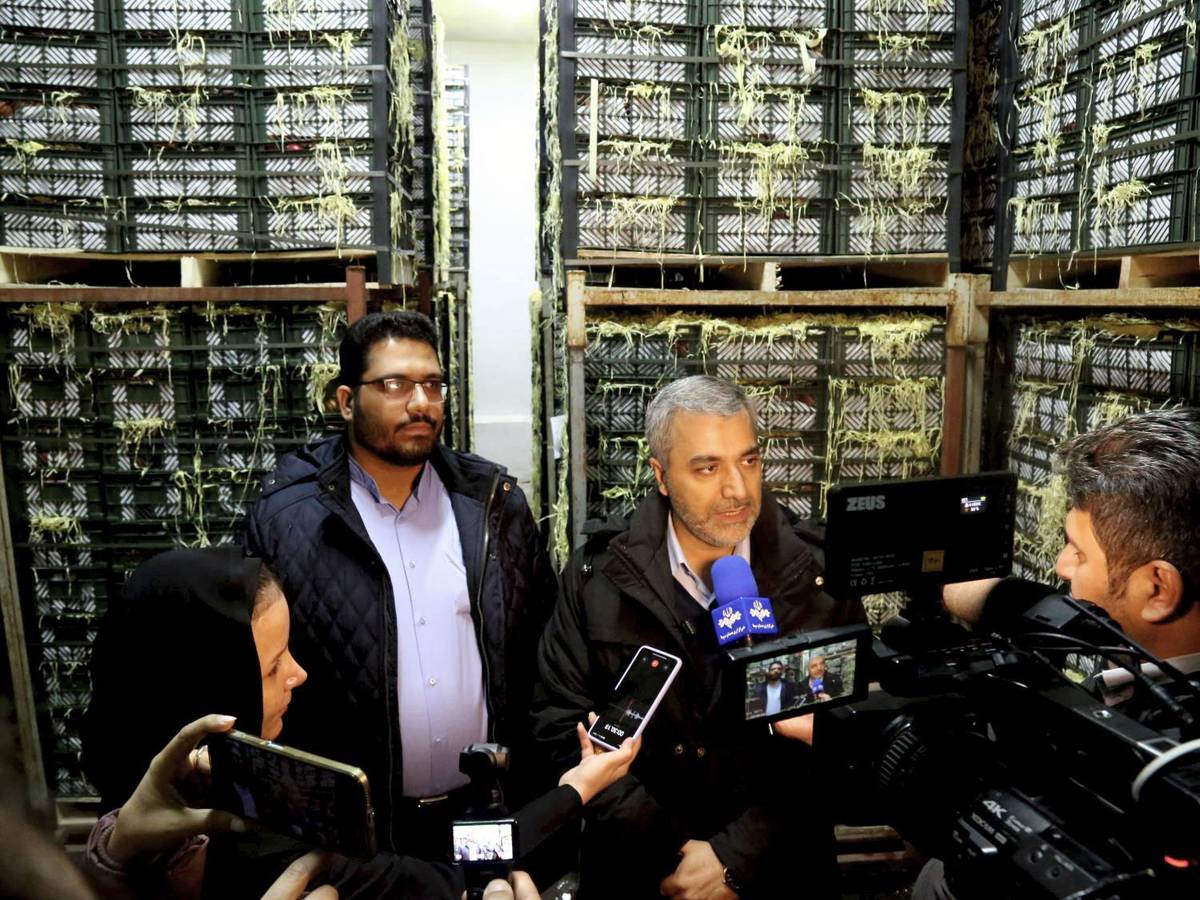 به اندازه کافی اقلام مورد نیاز شهروندان تهیه شده است