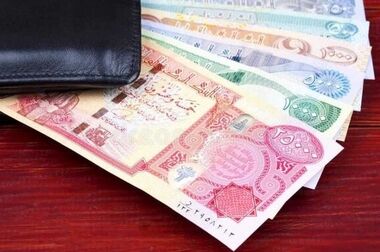 مظاهری: تک‌نرخی شدن ارز ضرورتی اجتناب‌ناپذیر/ ندری: حقوق‌بگیران را زمین‌گیر می‌کند