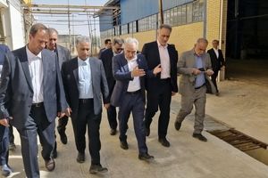 بازدید مدیرعامل بانک صنعت و معدن از 8 طرح تولیدی در استان فارس