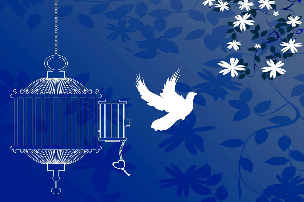 آزادی تمامی مادران زندانی جرائم مالی غیرعمد تا سقف 250 میلیون تومان به همت بانک پارسیان