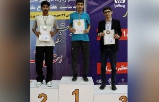 قهرمان شطرنج کشور در خانواده بزرگ بیمه آسیا