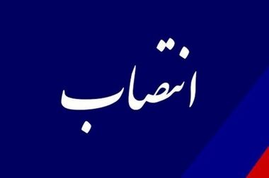 هلدینگ خلیج‌فارس، توانایی کاهش سهم ۲ میلیارددلاری واردات محصولات پتروشیمی را دارد/ به‌جای تولید انفرادی ده‌ها محصول، باید در صدها زنجیره ارزش جهانی سهم داشته باشیم