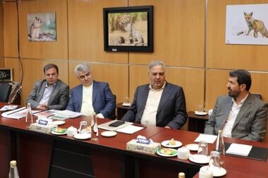 تاکید استاندار همدان بر نقش کلیدی شرکت صبانور در اقتصاد استان