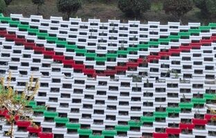 جانی تازه بر کالبد معابر منطقه یک با جلوه‌گریِ پرچم سه رنگ ایران