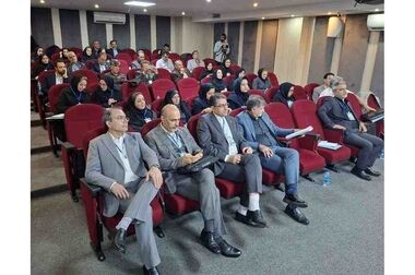  سهم ۷۰ درصدی بیمه ایران از سرمایه صنعت، تضمین‌کننده ثبات بازار