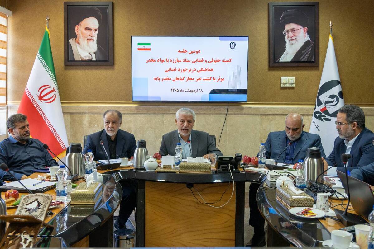 تأکید معاون قضائی دادستان کل کشور بر اصلاح و بازبینی مجازات‌ها/ ضرورت برخورد قاطع با کشت غیرمجاز گیاهان مخدرپایه