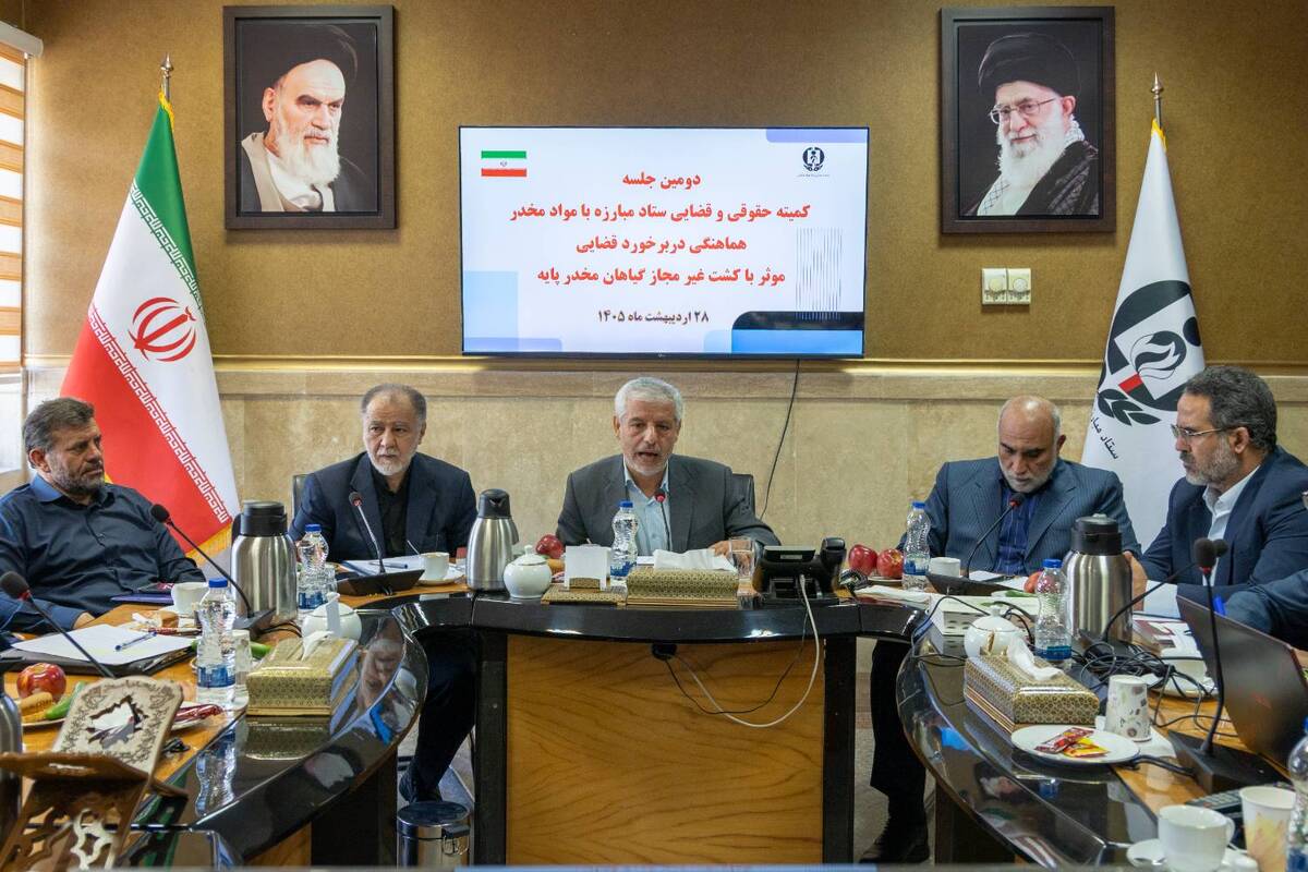 تأکید معاون قضائی دادستان کل کشور بر اصلاح و بازبینی مجازات‌ها/ ضرورت برخورد قاطع با کشت غیرمجاز گیاهان مخدرپایه