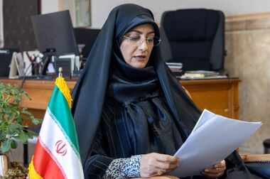 کشت تحقیقاتی برای تولید بذر بومی شقایق الیفرا در حال بررسی است