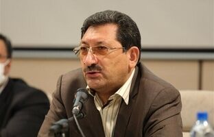 آیین‌نامه واردات خودروهای کارکرده اصلاح می‌شود/ در مورد واردت آیفون هنوز مستندی ندارم