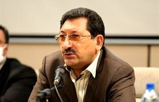 آیین‌نامه واردات خودروهای کارکرده اصلاح می‌شود/ در مورد واردت آیفون هنوز مستندی ندارم