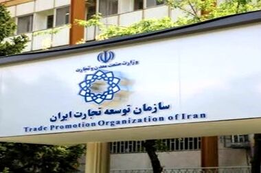 تاکید بر گسترش شبکه لجستیکی با تقویت دیپلماسی ریلی/ همکاری دولت و بخش خصوصی در حمل و نقل