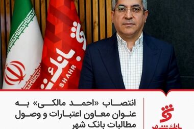 بانک حرفه ای و چابک در ارائه خدمات به فعالان حوزه پتروشیمی هستیم
