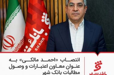 بانک حرفه ای و چابک در ارائه خدمات به فعالان حوزه پتروشیمی هستیم