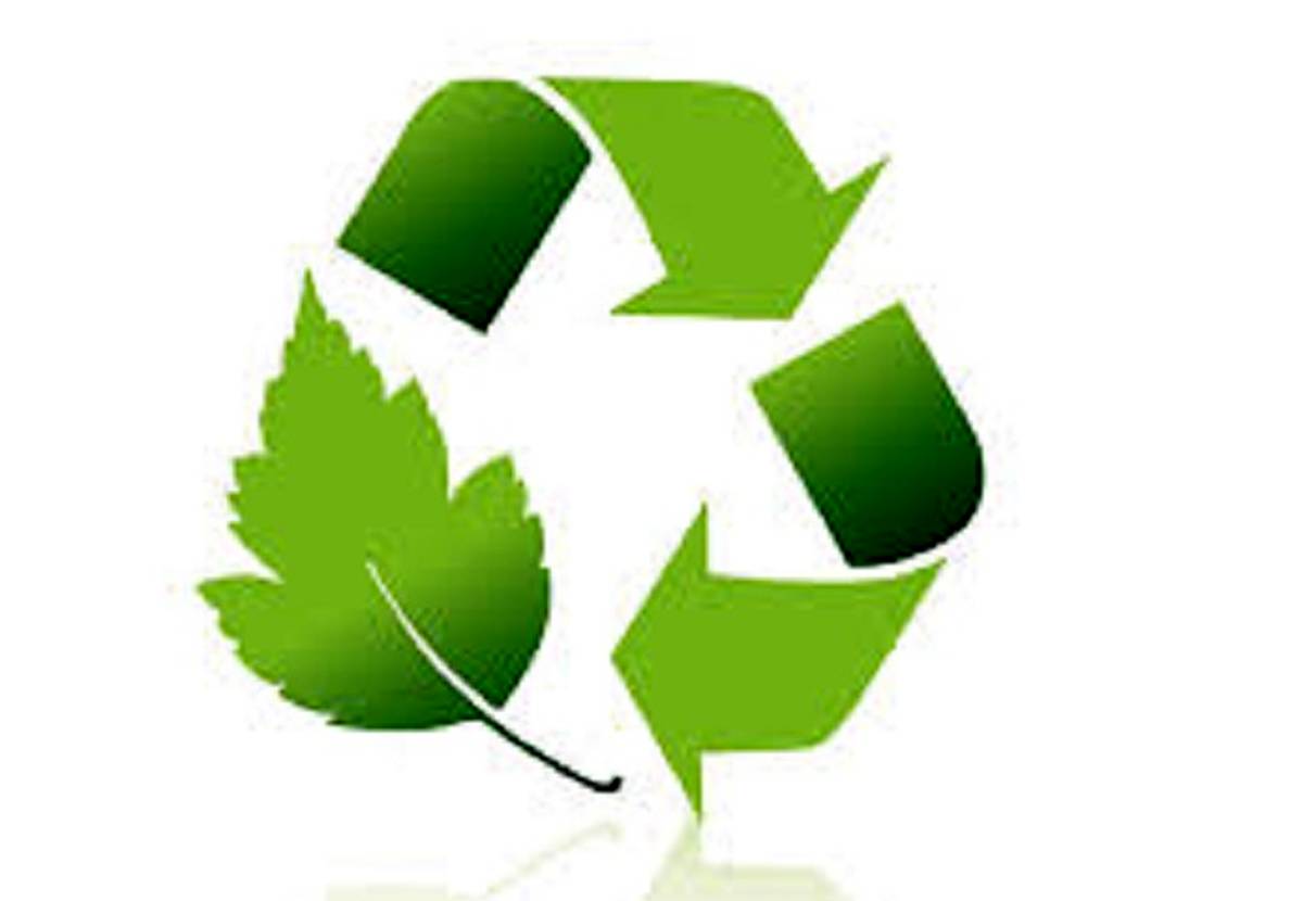 منطقه ۲ تهران پیشتاز مدیریت سبز در بین مناطق ۲۲گانه