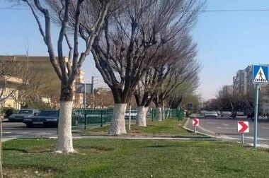 بهبود ترافیک و ایمنی میدان توحید با اجرای اصلاح هندسی