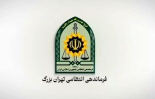 دستگیری فردی مرتبط با شبکه‌های معاند و کشف سلاح در پایتخت