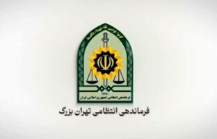 دستگیری فردی مرتبط با شبکه‌های معاند و کشف سلاح در پایتخت