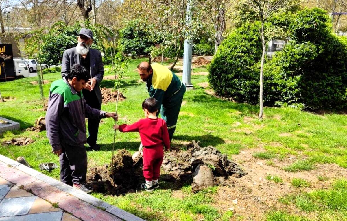 خدمات بی وقفه در شهر، از دمیدن نفس های سبز تا تیمار درختچه های منطقه یک 