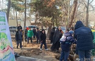 کاشت ۶۰۰ درخت با مشارکت دانش‌آموزان منطقه یک در پویش نهضت درختکاری