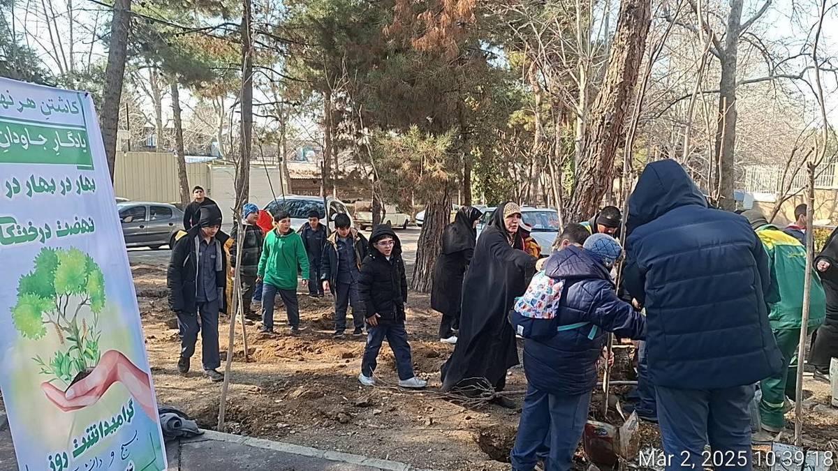 کاشت ۶۰۰ درخت با مشارکت دانش‌آموزان منطقه یک در پویش نهضت درختکاری