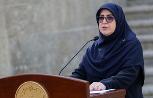 مهاجرانی: اعتقادی به اینترنت طبقاتی نداریم/ احتمال سه نرخی شدن بنزین