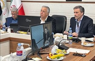 راهبردهای ارتقا شاخص های عملکردی در بانک ملی ایران زیر ذره بین مدیران