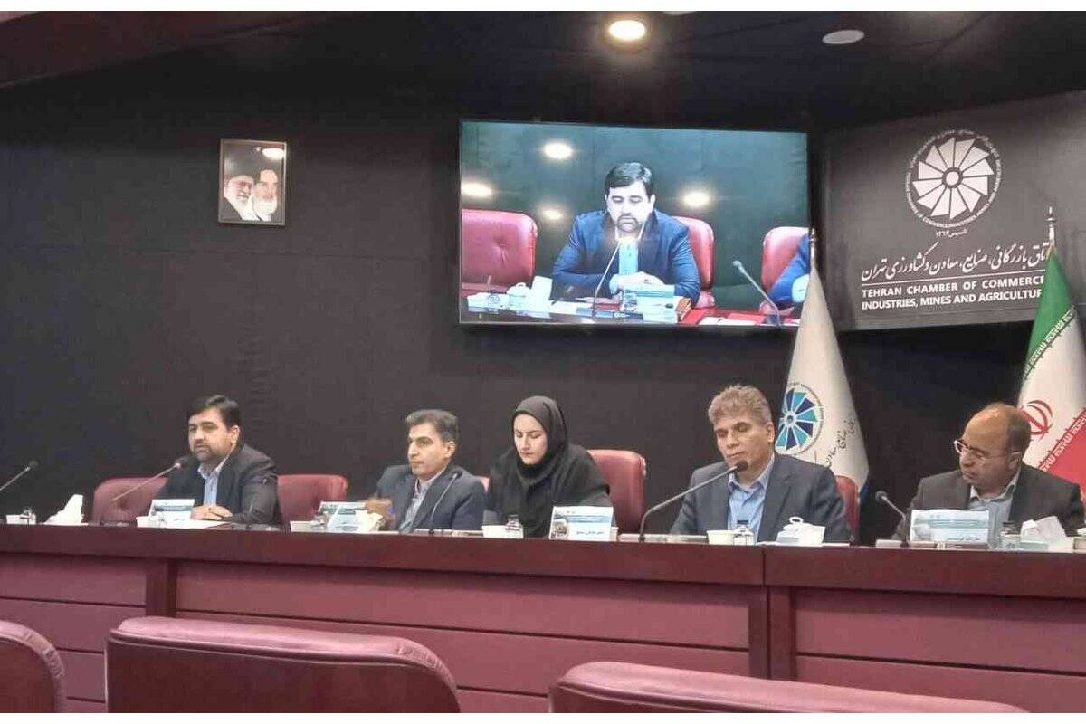 معافی: عرضه بسته‌های سرمایه‌گذاری اکتشافی در خراسان جنوبی و سه استان دیگر