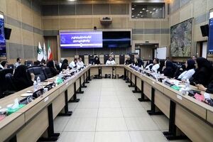 مدیریت بحران باید از نگاه «حمایتی» به رویکرد «مشارکت‌محور» زنان حرکت کند