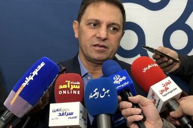 سهم ۵۶ درصدی ۵۰۰ شرکت برتر از تولید ناخالص داخلی کشور