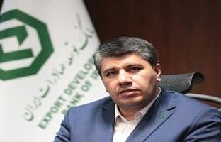 حمایت بانک توسعه صادرات ایران از صنعت پتروشیمی؛ گامی برای کاهش ناترازی انرژی