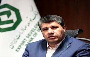 حمایت بانک توسعه صادرات ایران از صنعت پتروشیمی؛ گامی برای کاهش ناترازی انرژی