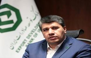 حمایت بانک توسعه صادرات ایران از صنعت پتروشیمی؛ گامی برای کاهش ناترازی انرژی