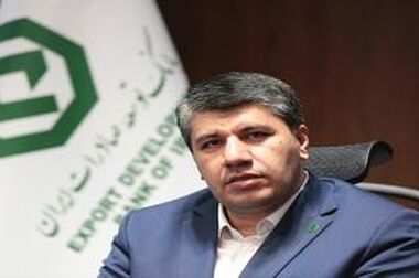 ۹۰درصد تسهیلات بانک توسعه صادرات ایران در اختیار بخش مولد خصوصی