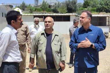سه‌ماهه طلایی فملی؛ کاتد، طلایه‌دار سودآوری در بازارهای داخلی و خارجی