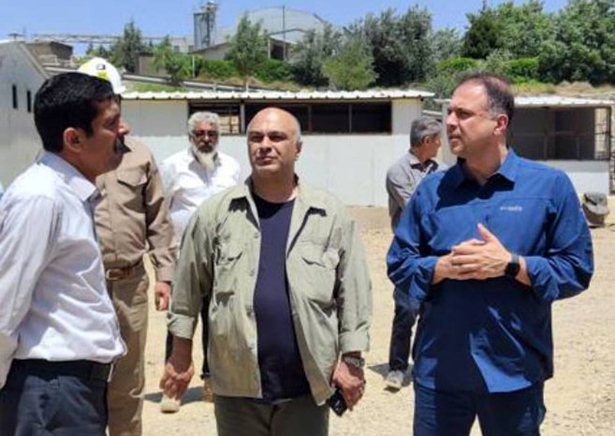 روند اجرای پروژه‌های توسعه‌ای شرکت ملی مس شتاب می‌گیرد