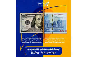 ارائه خدمات خرید و فروش ارز در شعب منتخب بانک سرمایه