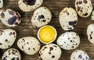 قیمت تخم بلدرچین  اعلام شد