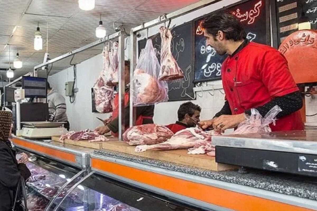 واردات گوشت راهکار تنظیم بازار نیست/ نظارت بر توزیع تقویت شود