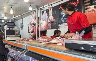 واردات گوشت راهکار تنظیم بازار نیست/ نظارت بر توزیع تقویت شود